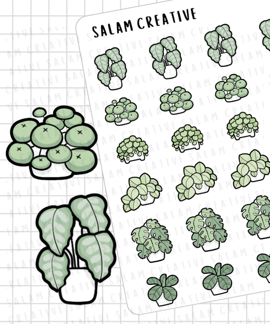 HOUSE PLANTS